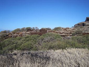 Lanai-Kaunolu-HaluluHeiau-far.JPG