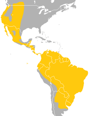 Lasiurus blossevillii range.png