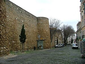 Lisboa castelo wall