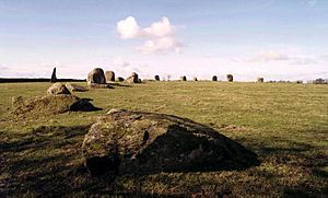 LongMeg001