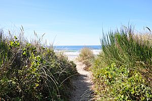 Manhattan beach oregon.jpg