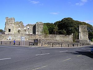 Manorhamilton Castle - geograph.org.uk - 1495776.jpg