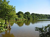 Marbury Big Mere