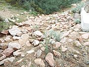 Maricopa County-Camp Reno ruins-1868