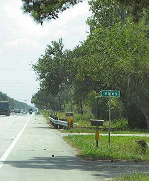 Marker in Algoa Texas