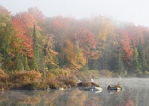 Marshfield Pond October 2021 003