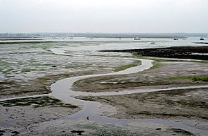 Mudflats, Hurst Spit - geograph.org.uk - 930718