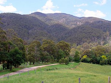 Mumbulla Mountain from Princes Highway.JPG