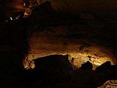 NaturalBridgeCaverns15