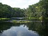 Ocala Silver River Park - River01.jpg