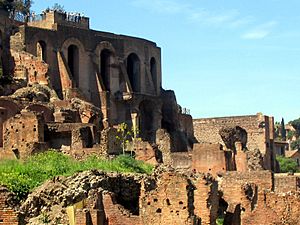 Palatineterracing