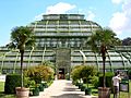 Palmenhaus.Schönbrunn August 2006