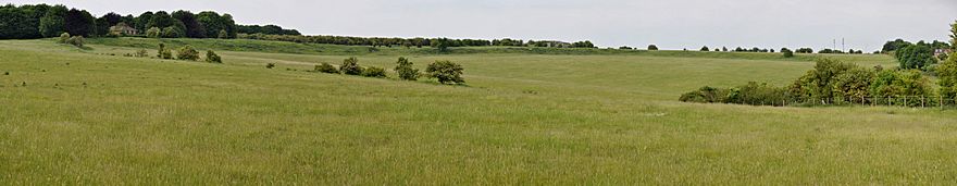 Panorama Durrington Walls 3