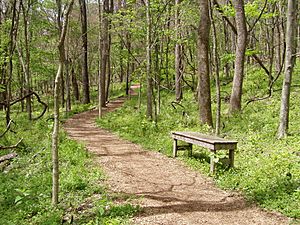 RadnorLakeTrailhead