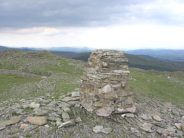 Rhobell Fawr summit.JPG