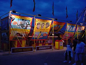 Sideshow at the Erie County Fair