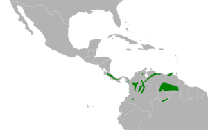 Tangara guttata map.svg