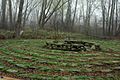 Turtle Peace Labyrinth