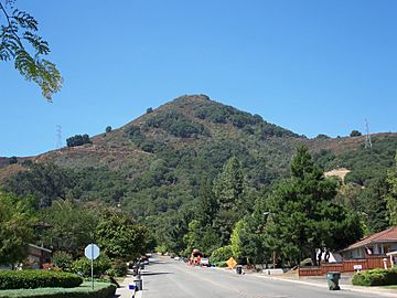 USA-Morgan Hill-El Toro Hill-1.jpg