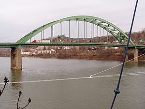 Vietnam Vet Bridge-Wheeling P2100033.JPG