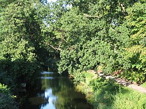 Woking-BasingstokeCanal.jpg