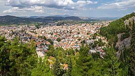 General view from the castle