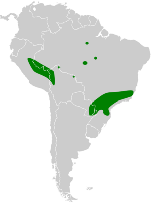 Antrostomus sericocaudatus map.svg