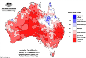 Australian Rainfall Deciles 2019