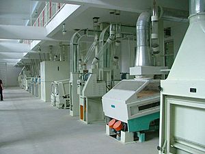 Auto Rice Milling Plants