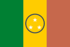 Flag of San Juan de Manapiare