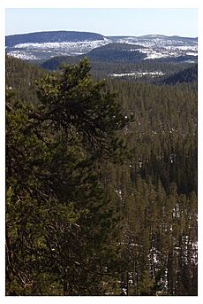 Björnlandets nationalpark