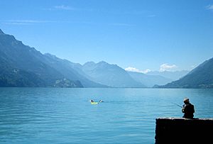 Brienzersee westwärts