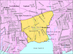 U.S. Census map