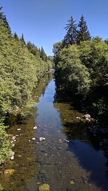 Calawah River.jpg