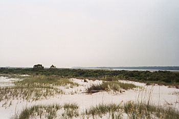 Photograph of sand dunes by the beach