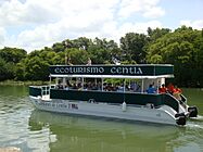 Centla Catamarán.jpg