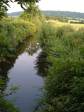 Chard Canal Lillesdon.jpg