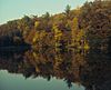 Trees in autumn colors reflected in a smooth lake