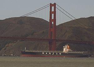 Cosco Busan 2007-12-20