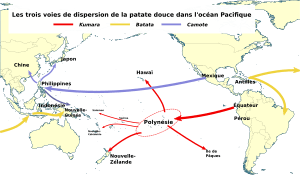 Dispersion de la patate douce01