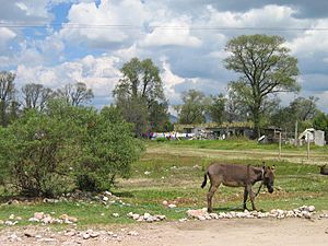 Ejido A-Tocuila Texcoco Mexico