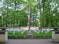 Graves of January Uprising veterans