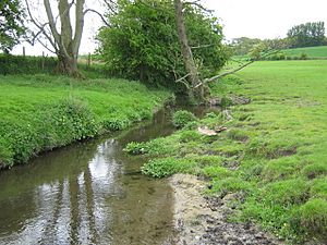 Great Stour near Hubbards Farm