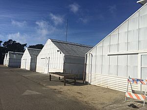 Green Houses