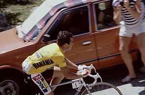 Hautes-Alpes Col De L'Izoard Tour De France Hinault 071986 - panoramio