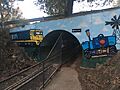 Henry's Tunnel, Wagga Wagga