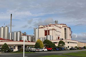 Hokitika milk factory 27