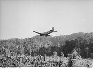 Kokoda C47 (AWM 027019)