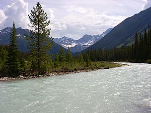 Kootenay National Park Kootenay River