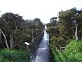 Lake seppings bird hide